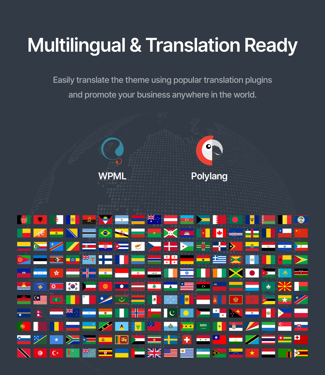 MULTILINGUAL & TRANSLATION READY