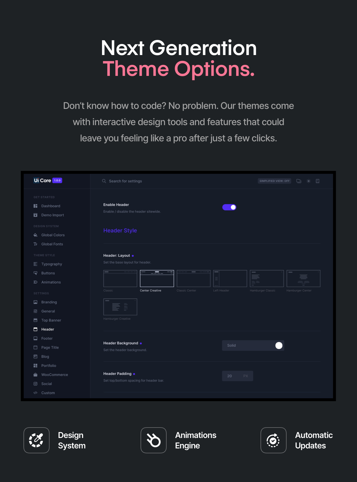 THEME OPTIONS