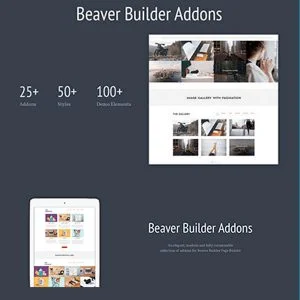 ADDONS FOR BEAVER BUILDER PRO WORDPRESS PLUGIN