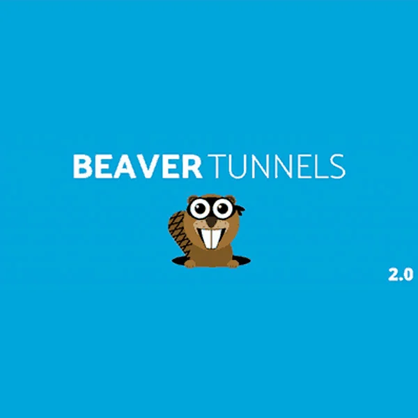 Beaver Tunnels Addon