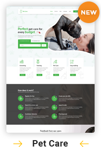 CAREERFY - JOB BOARD WORDPRESS THEMES