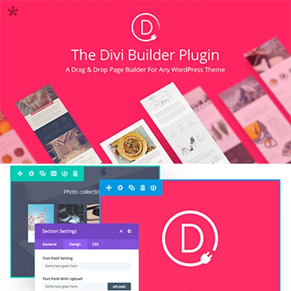 Divi Builder WordPress Plugin