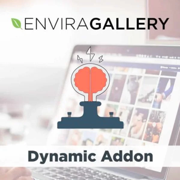 Envira Gallery Dynamic Addon