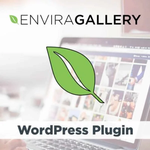 Envira Gallery Pagination Addon