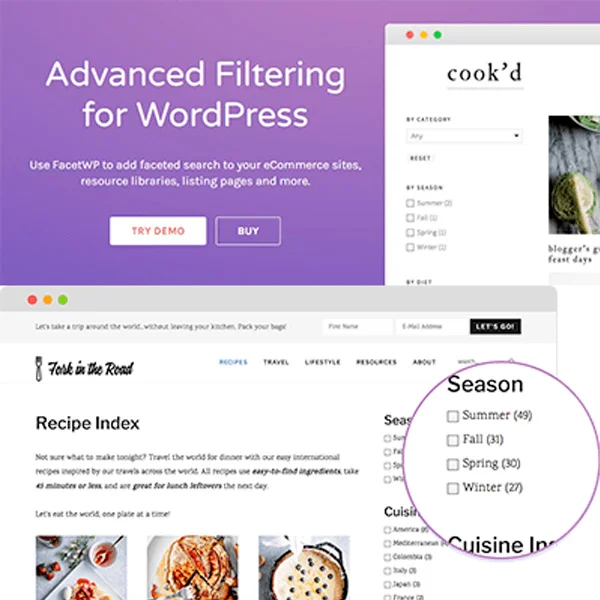 FacetWP-Advanced-Filtering-For-WordPress