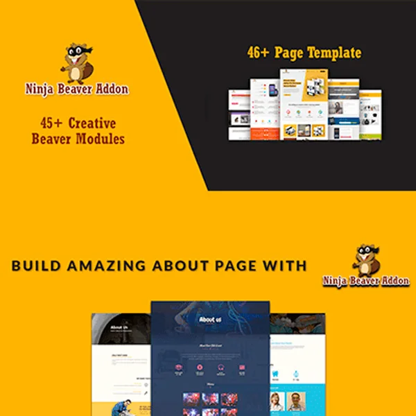 Ninja Beaver Pro – Addons For Beaver Builder