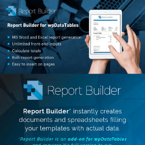 Report Builder add-on for wpDataTables