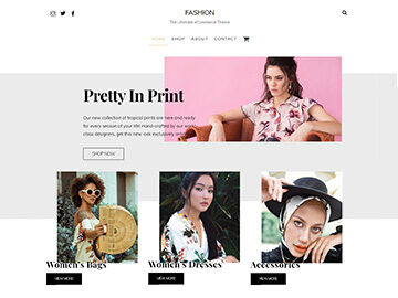 THEMIFY ULTRA WORDPRESS THEME