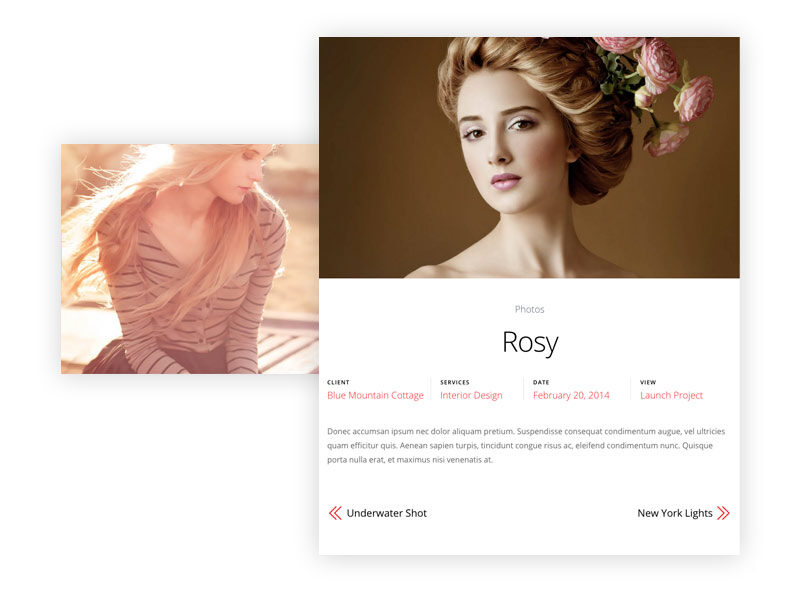 THEMIFY ULTRA WORDPRESS THEME