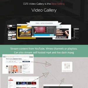 VIDEO GALLERY WORDPRESS PLUGIN